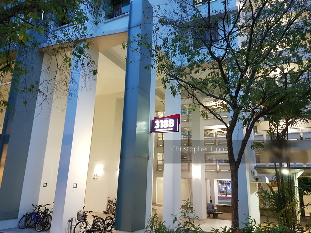 Blk 318B Anchorvale Link (Sengkang), HDB 5 Rooms #141991872